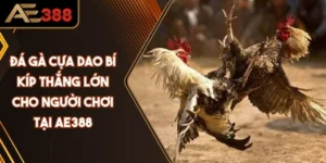 Đá Gà Cựa Dao Bí Kíp Thắng Lớn Cho Người Chơi Tại AE388