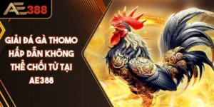 Giải Đá Gà Thomo Hấp Dẫn Không Thể Chối Từ Tại AE388