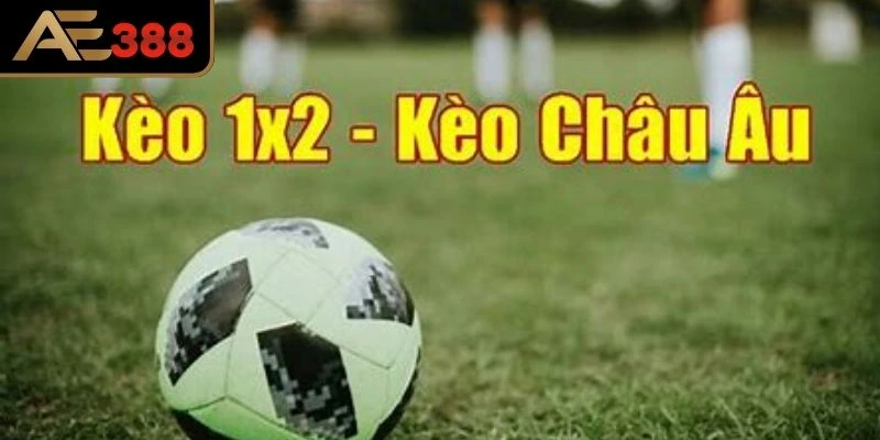Kèo Châu Âu (1X2) đòi hỏi chiến thuật linh hoạt 