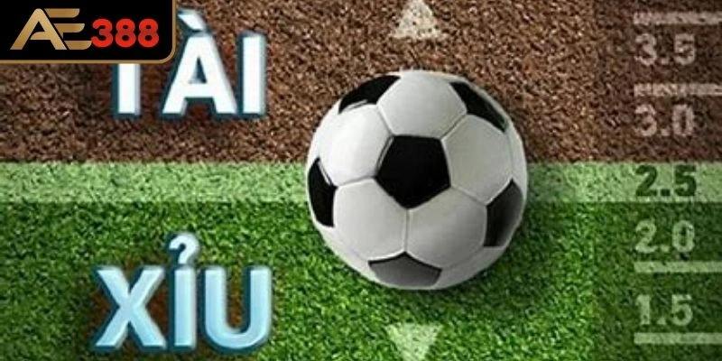 Tỷ lệ 2.5 trái 