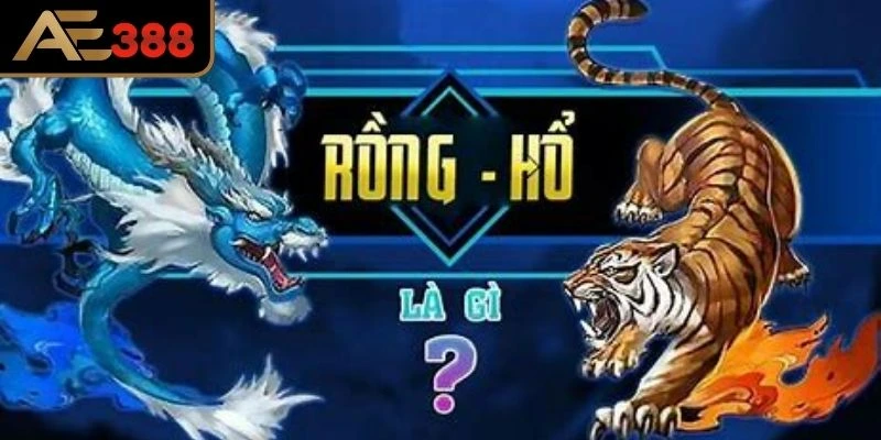 Hướng dẫn cách chơi long hổ chi tiết