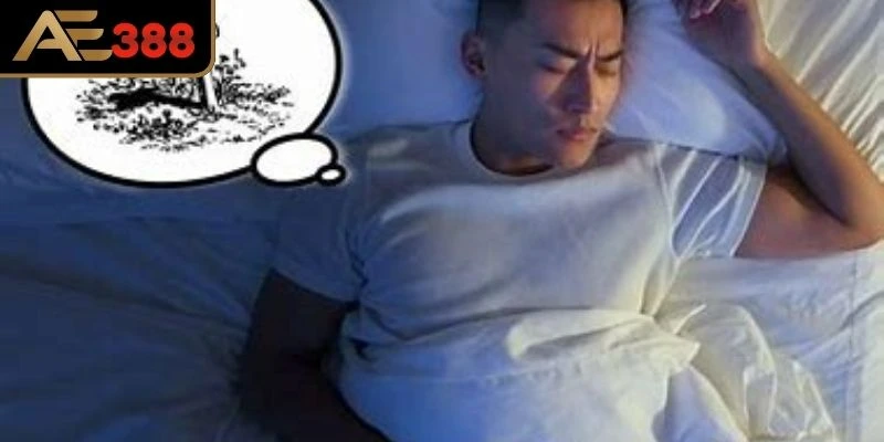 Giải mã và Phân Tích Sổ Mơ qua những con số cụ thể 