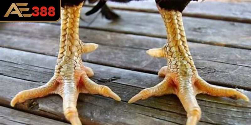 Lợi ích và rủi ro khi sở hữu vảy xuyên đao