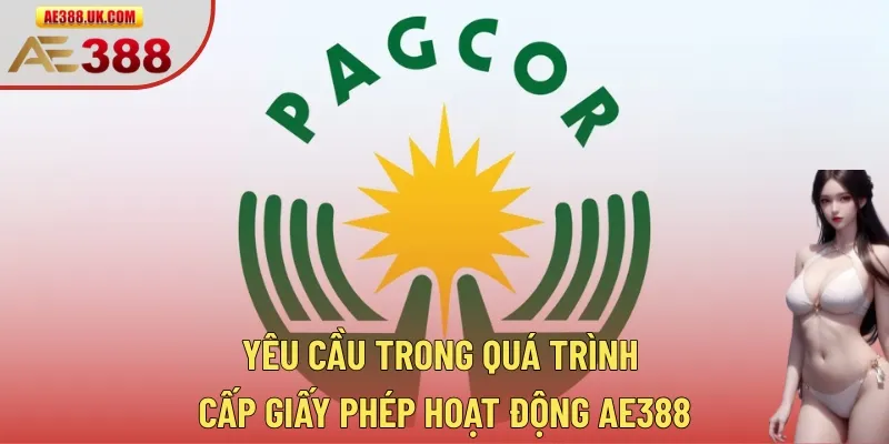 Yêu cầu trong quá trình cấp giấy phép hoạt động AE388